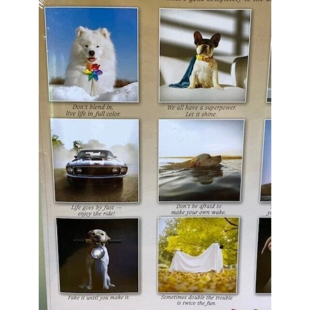Dogma 2024 Wall Calendar: A Dog’s Guide to Life by Ron Schmidt, 12